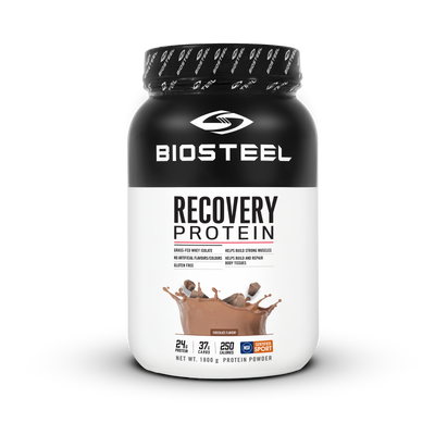 Recovery Protein Chocolate