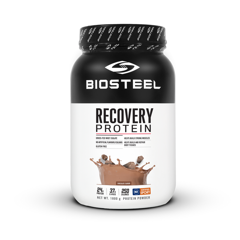 Recovery Protein Chocolate