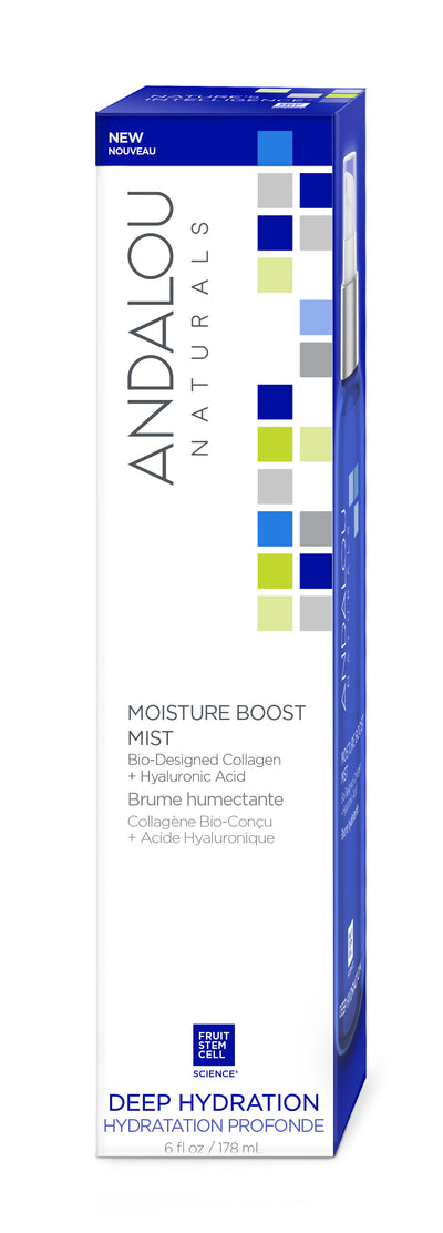 Moisture Boost Mist