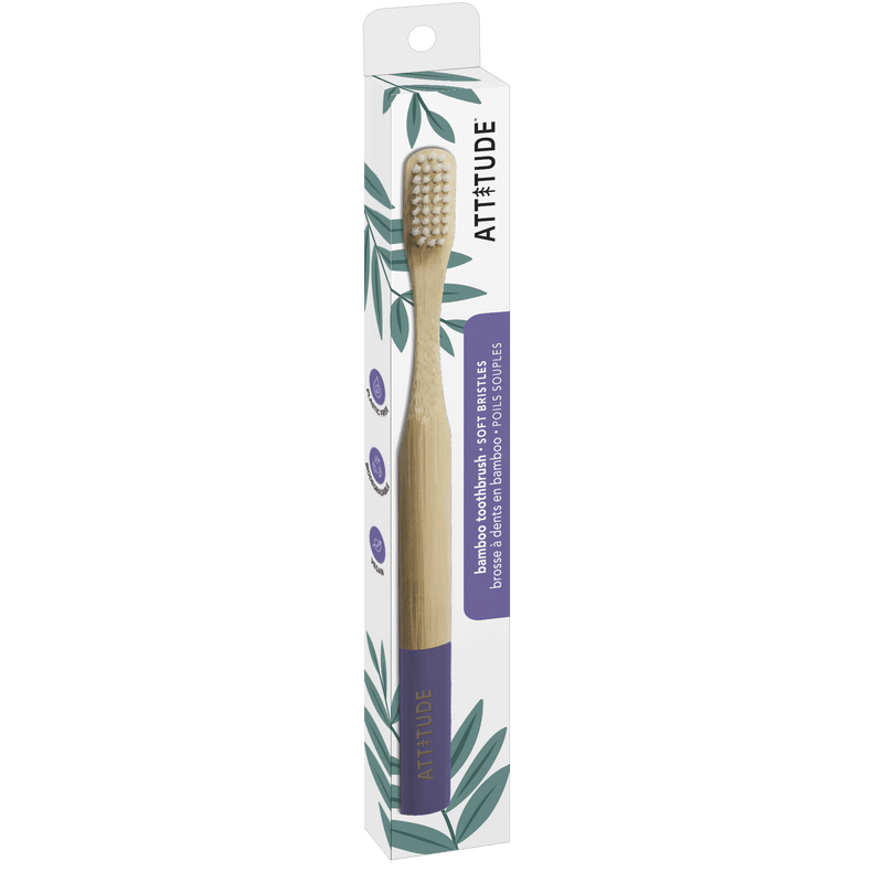 Adult Toothbrush Purple Handle