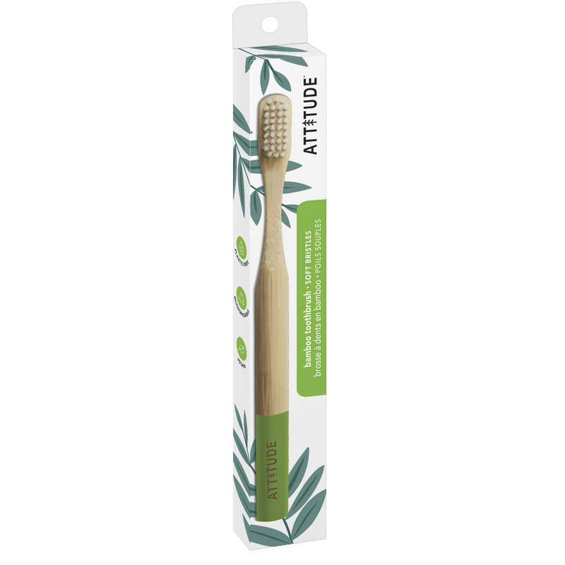 Adult Toothbrush Green Handle