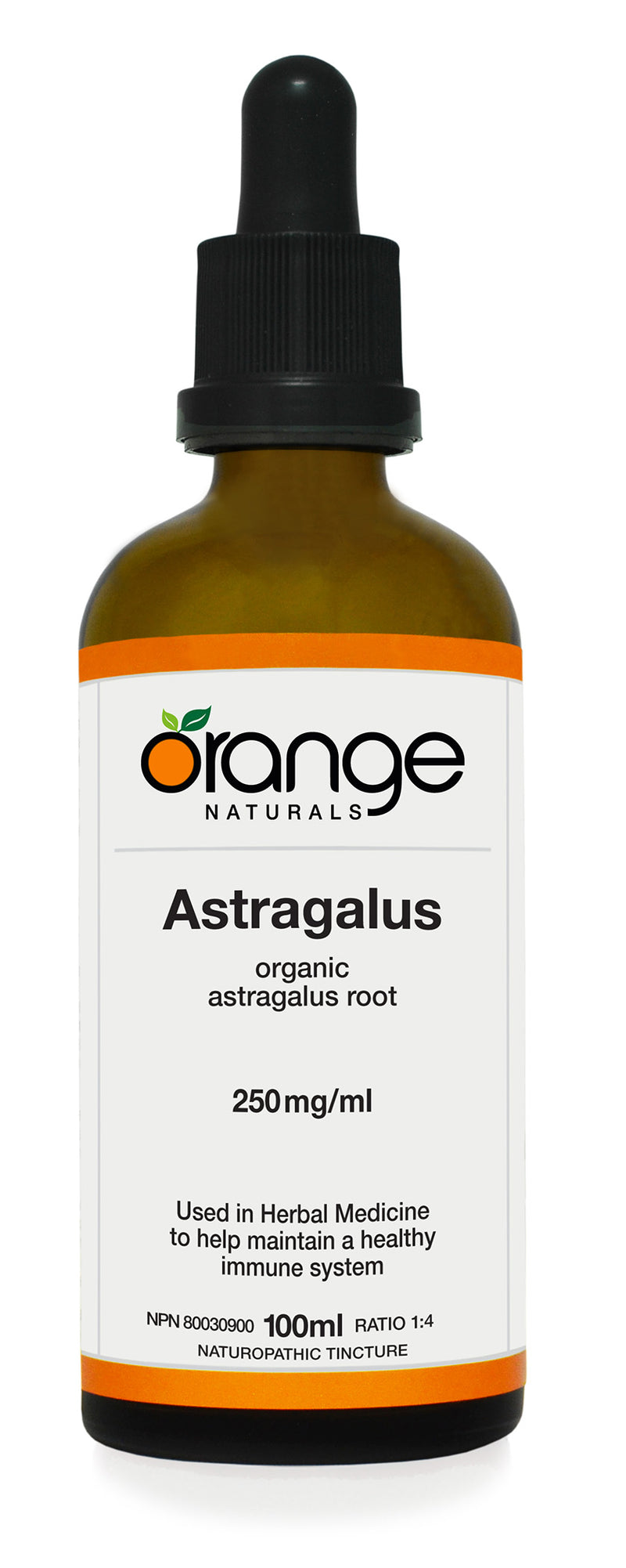 Astragalus Tincture