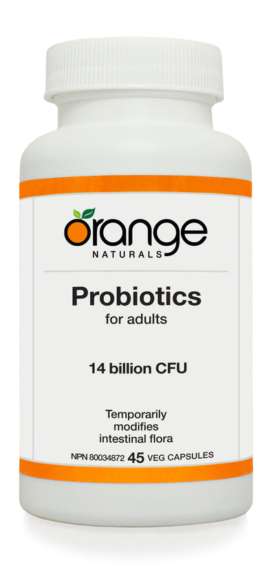 Everyday Probiotic