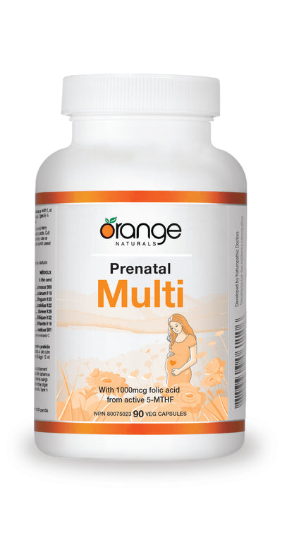 Prenatal Multi  90ct