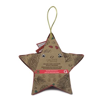 FT Star Ornament DK Choc & Sea Salt