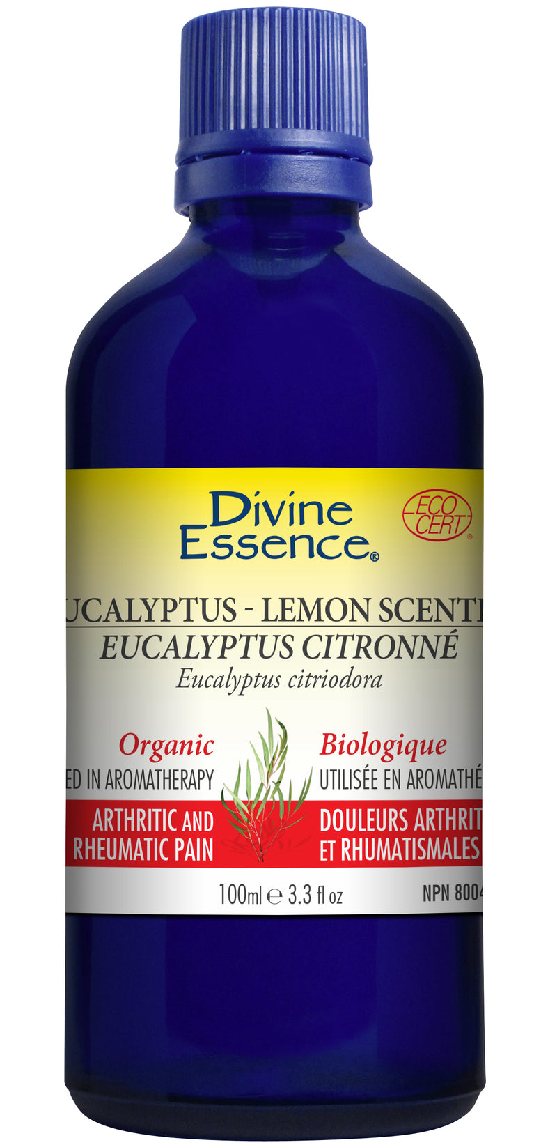 Eucalyptus Lemon-Scented (Organic)