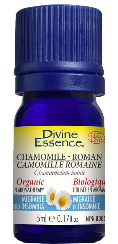 Chamomile - Roman (Organic)