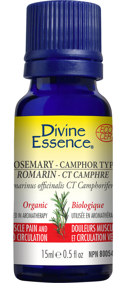 Rosemary - Camphor Type (Organic)