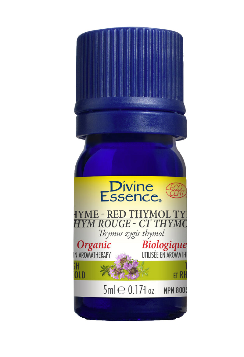 Thyme Red - Thymol (Organic)