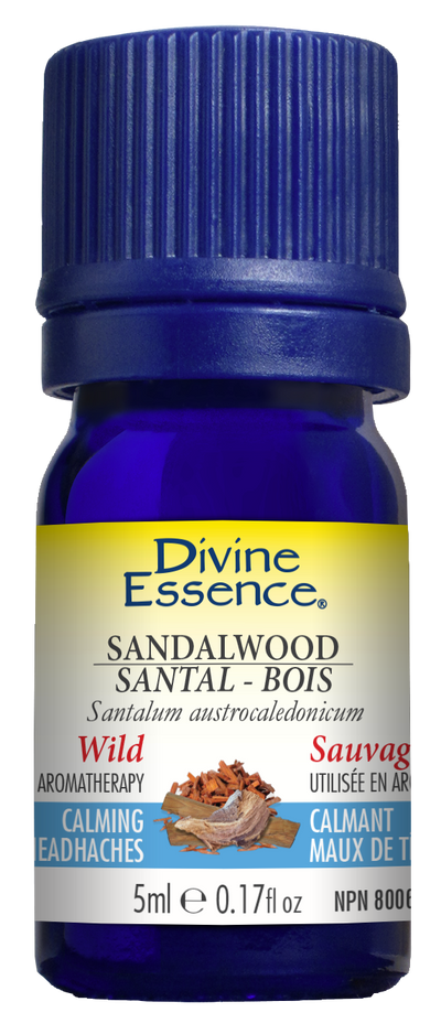 Sandalwood (South Pacific) (Wild)