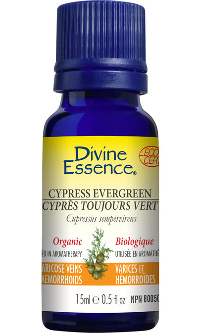 Cypress - Evergreen (Organic)