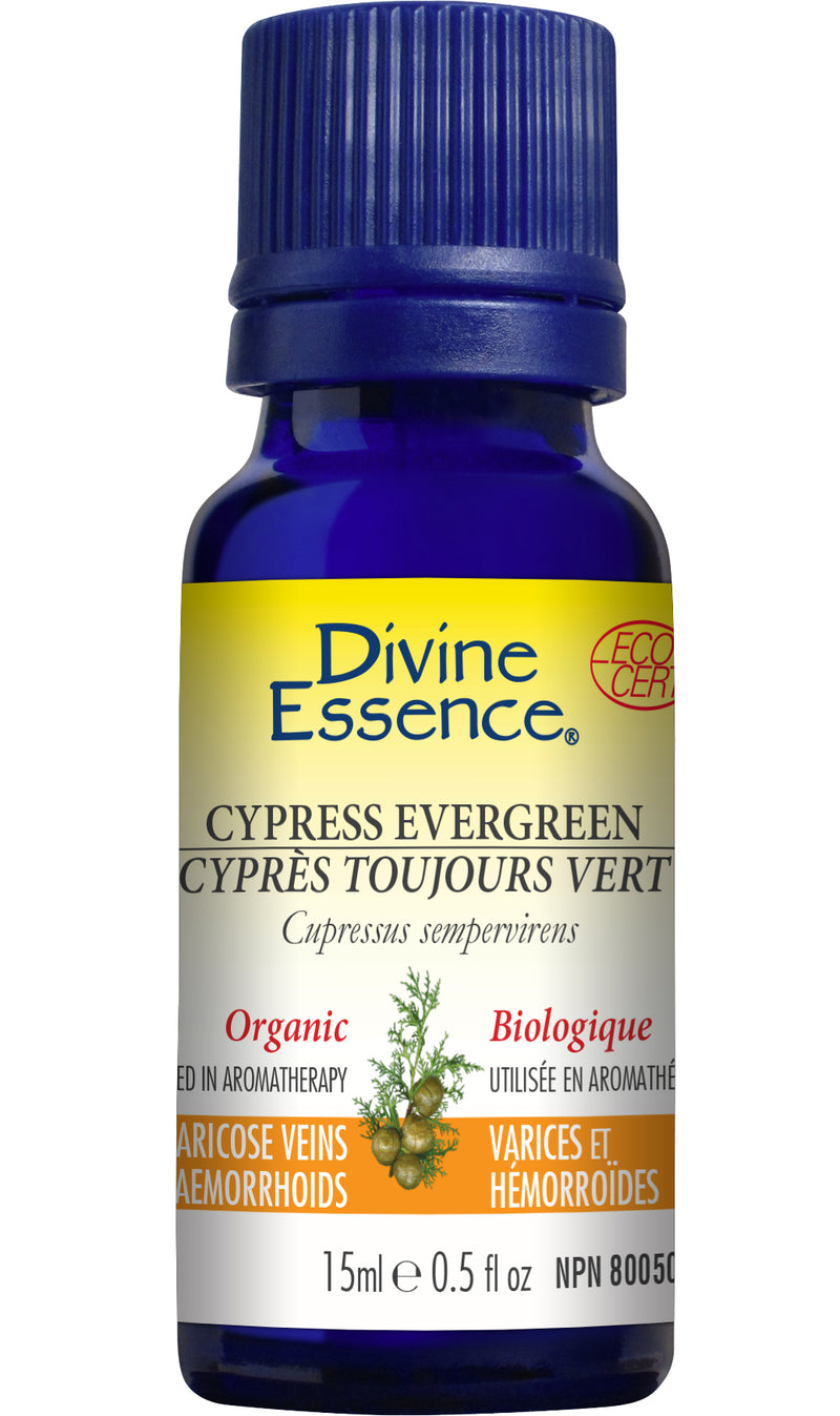 Cypress - Evergreen (Organic)