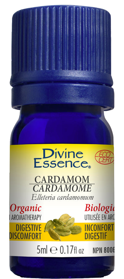 Cardamom (Organic)