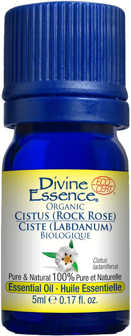 Cistus (Rock Rose) (Organic)