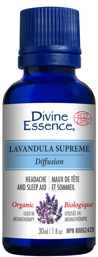 Lavandula Supreme (Organic)