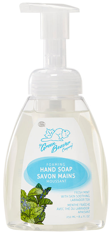 Foaming Hand Wash Fresh Mint