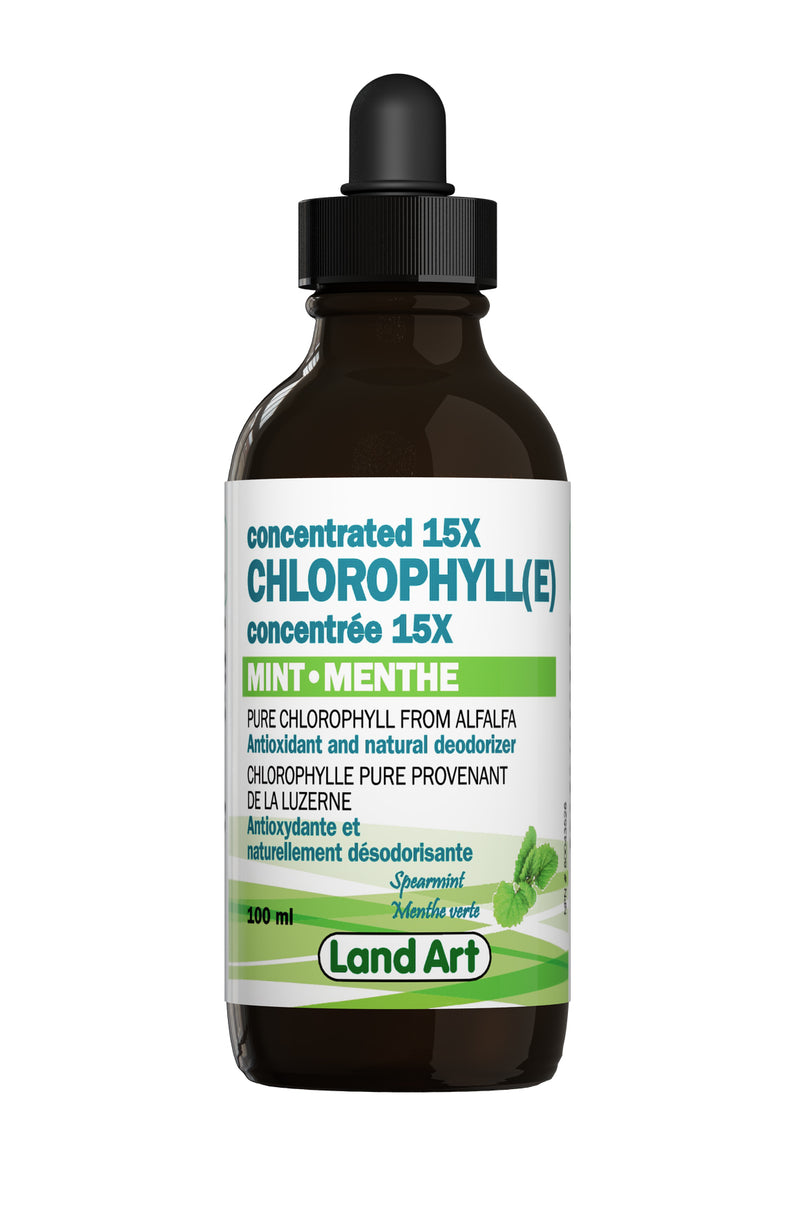 Chlorophyll Concentrated 15X Mint