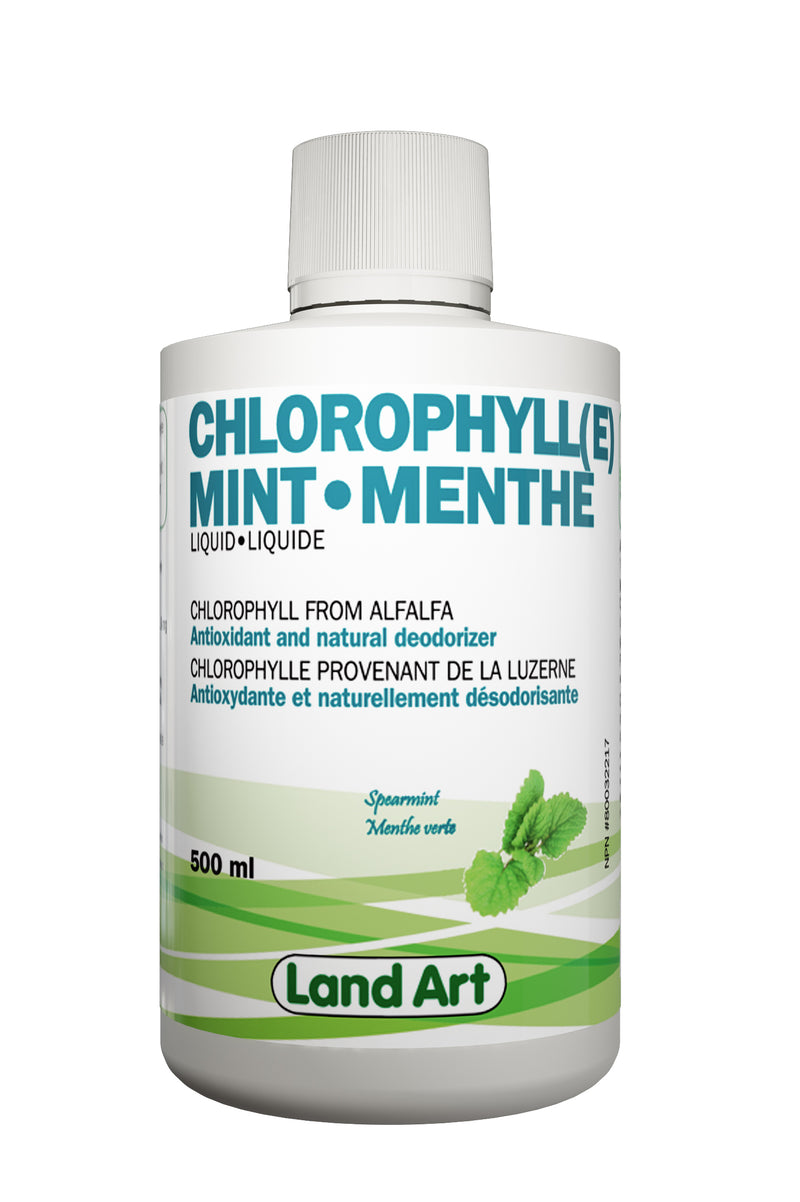 Chlorophyll Mint