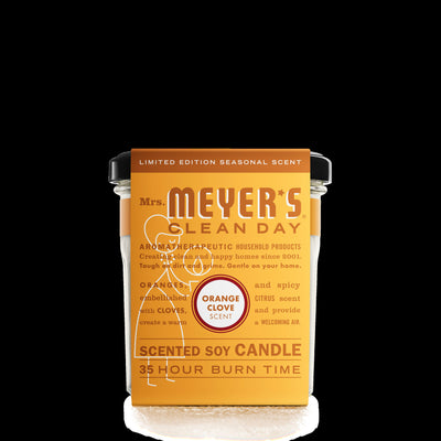 Large Soy Candle - Orange Clove