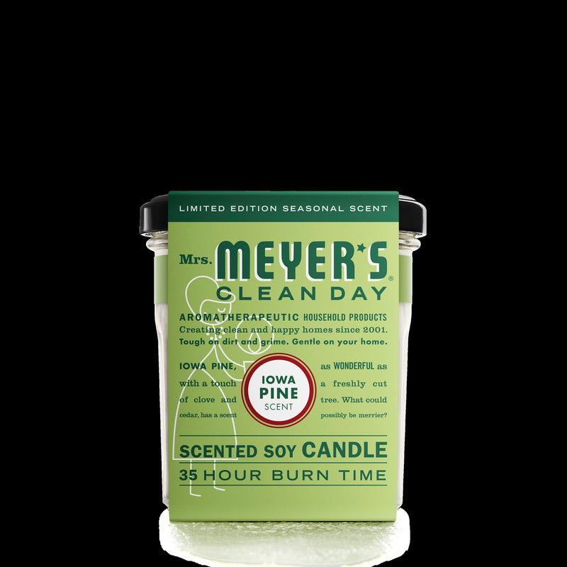 Large Soy Candle - Iowa Pine