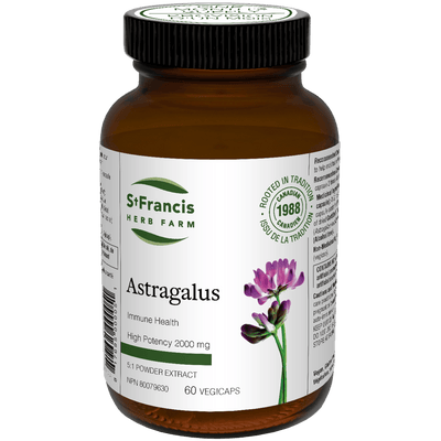 Astragalus Capsules