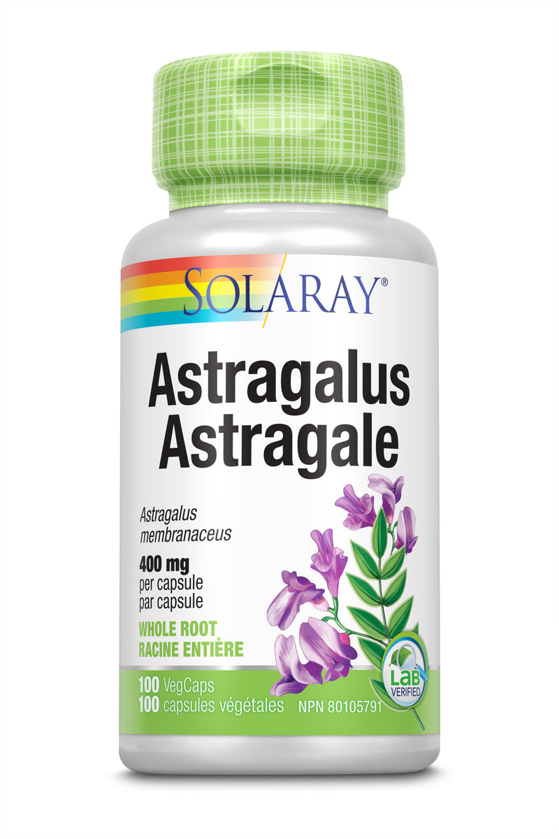 Astragalus