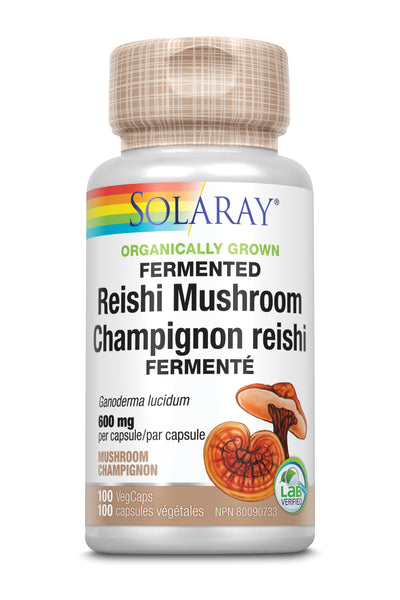 Reishi Mushroom