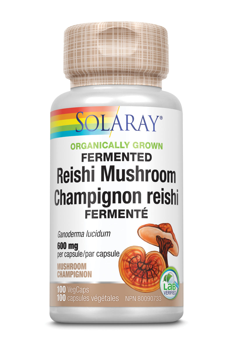 Reishi Mushroom