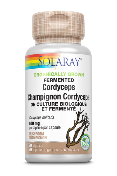 Fermented Cordyceps Mushroom