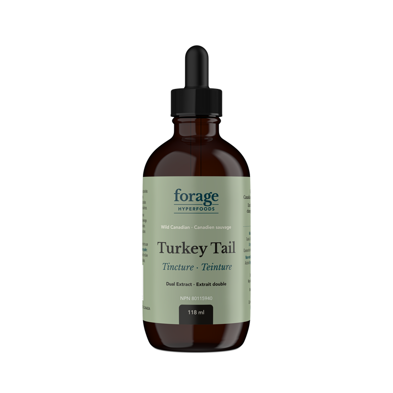 Turkey Tail Tincture - Original