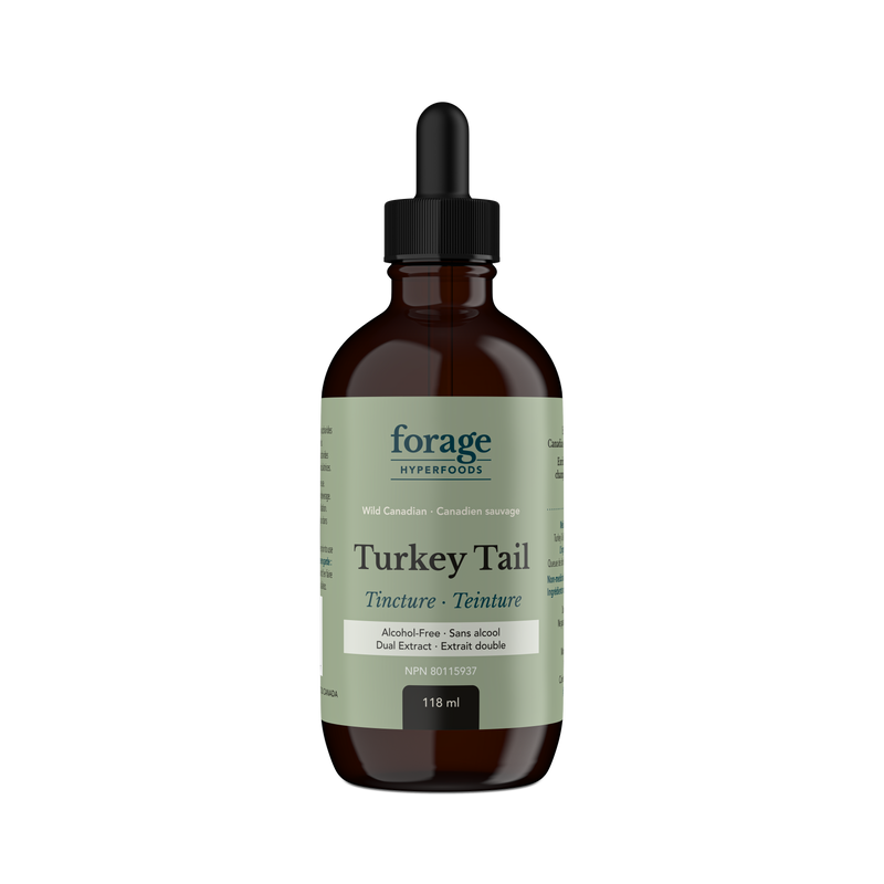 Turkey Tail Tincture - Alcohol Free