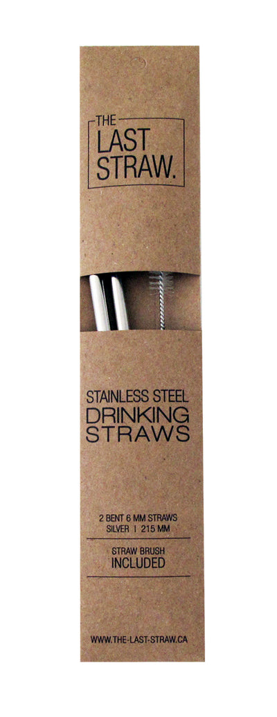 2 Stainless Steel Straws w/brush