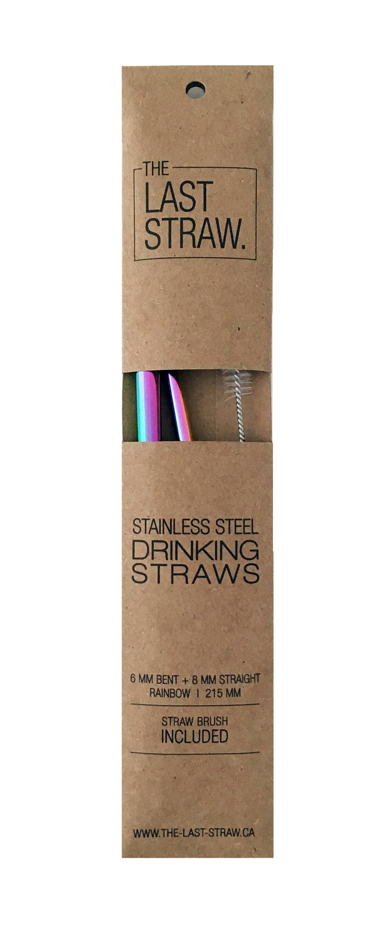 Stainless Straw Duo: Rainboww/brush