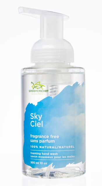 Sky Fragrance Free Foam Hand Wash